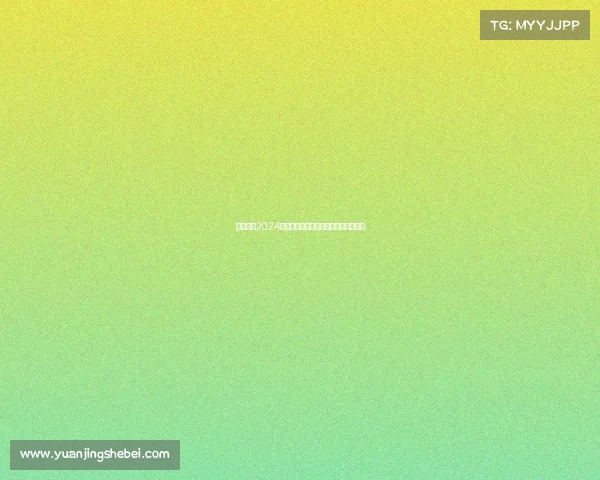 中国足协2024年度足球赛事规则与管理文件权威汇编